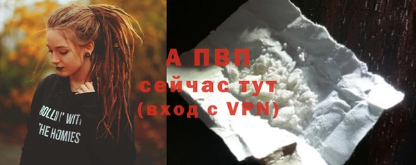 ПСИЛОЦИБИНОВЫЕ ГРИБЫ Волоколамск