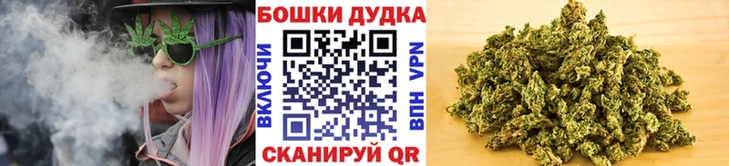 Шишки марихуана Amnesia Купить Гатчина
